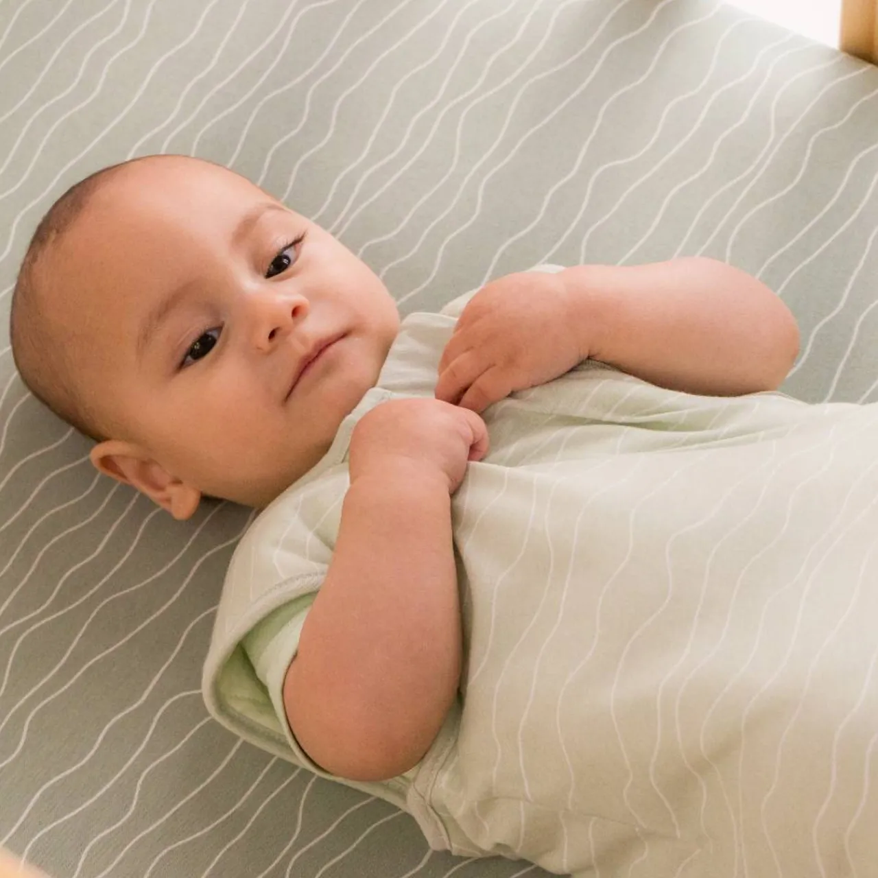 Winter Sleeping Bags*The Sleep Store Baby Basics 2.5 Tog Sleeping Bag