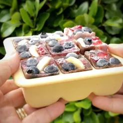 Breast Pumps & Accessories|Starting Solids*Haakaa Baby Food and Breast Milk Freezer Tray - 9 Compartments