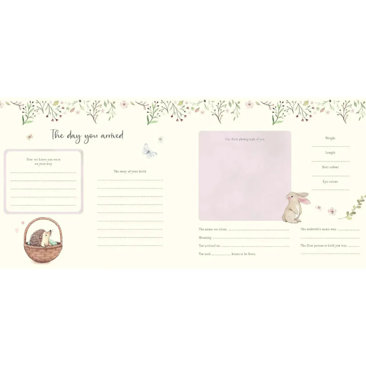 Books & Resources*Books Baby's First Year Record Book - Nina Stajner