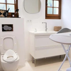 Toilet Training & Bedwetting*Béaba Beaba Toilet Training Seat Light Mist
