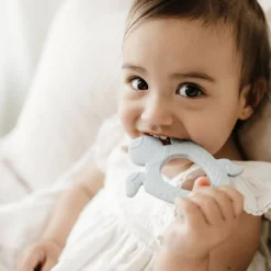 Teeth & Teethers*BO & KO Baby Pacific Island Turtle Teether