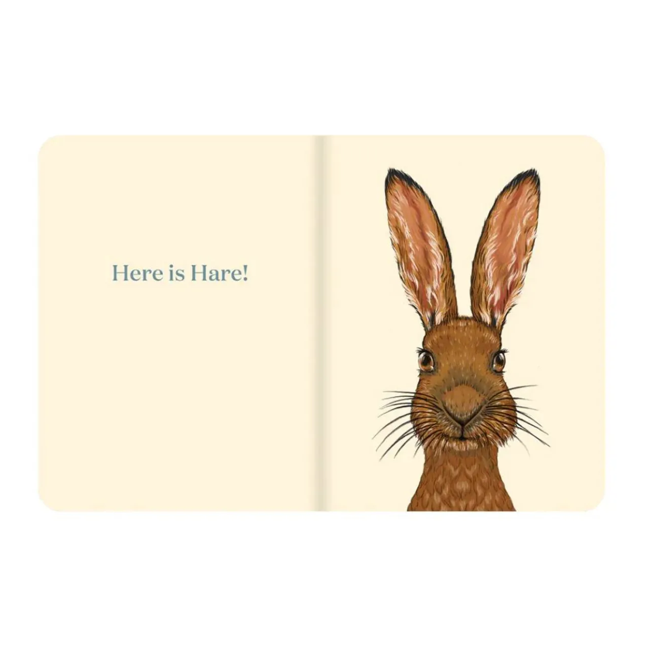 Books & Resources*Books Book - Here is Hare