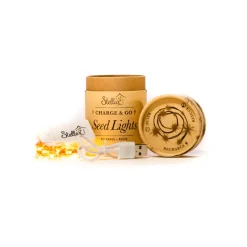 Night Lights|Night Lights*Stellar Haus Charge & Go Seed Lights