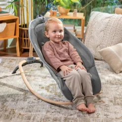 Bouncers & Baby Swings*Ingenuity Every Season Rocking Seat Wesley