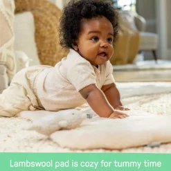 Bouncers & Baby Swings*Ingenuity Every Season Swing n Go Portable Swing Wesley