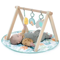 Rugs & Play Mats*Ingenuity ity by Sun Valley Wooden Toy Arch & Play Mat