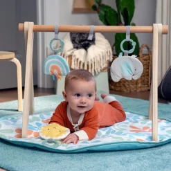 Rugs & Play Mats*Ingenuity ity by Sun Valley Wooden Toy Arch & Play Mat
