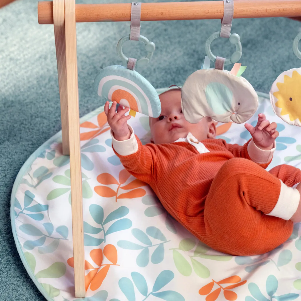 Rugs & Play Mats*Ingenuity ity by Sun Valley Wooden Toy Arch & Play Mat