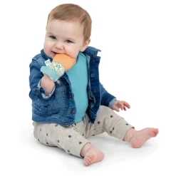 Teeth & Teethers*Ingenuity ity by Teething Mitt
