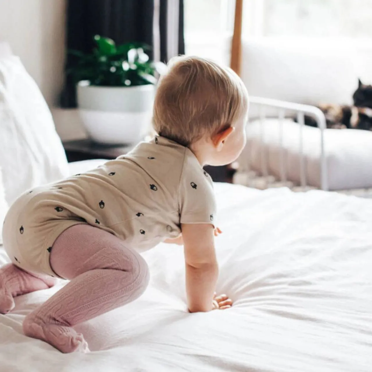 Accessories*Lamington Baby Tights - Cable