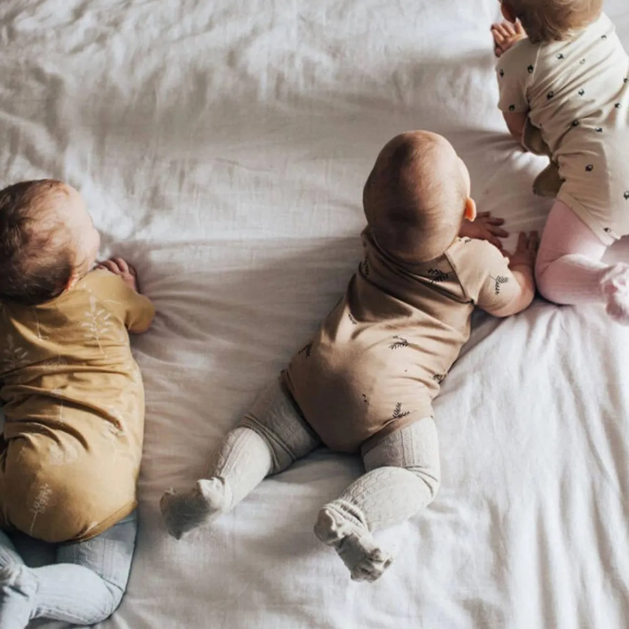 Accessories*Lamington Baby Tights - Cable