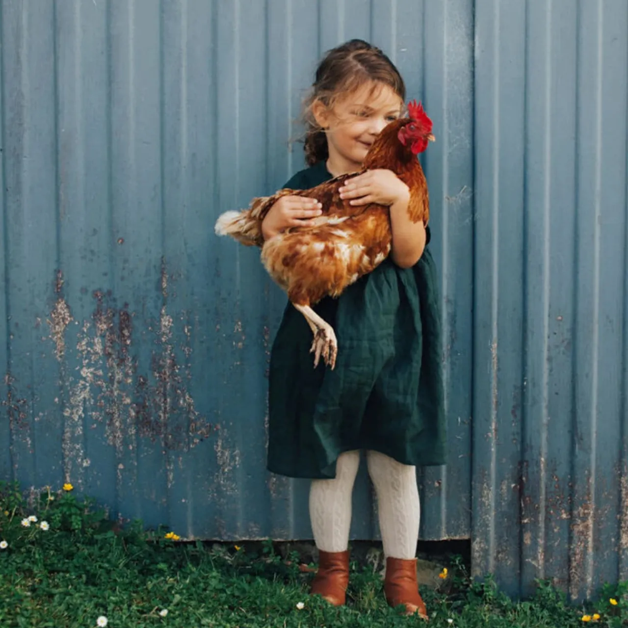 Accessories*Lamington Merino Tights - Cable