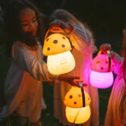 Night Lights|Night Lights*Little Belle Fairy Carry Lantern Pink Gold
