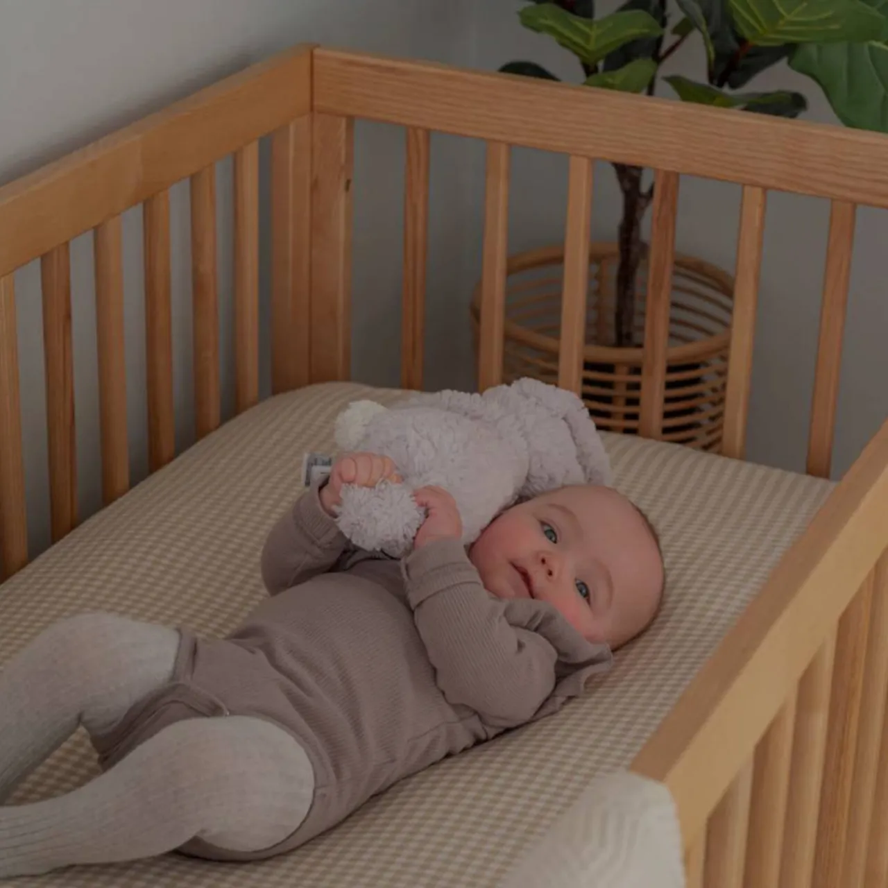 Cots*Cariboo MacKenzie Cot Natural