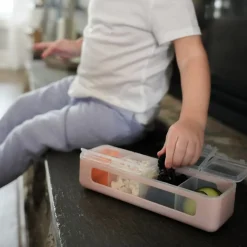 Lunchboxes, Snackboxes & Snack Bags|Lunch Boxes, Snack Boxes & Insulated Bags*Melii 4 Compartment Snackle Box