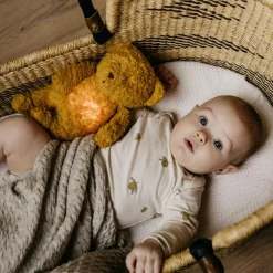 Night Lights|Comforters & Soft Toys*Moonie - The Organic Humming Bear Sand Natur