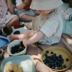 Bowls, Plates & Cutlery*Mushie Dinnerware Square Bowl 2pc