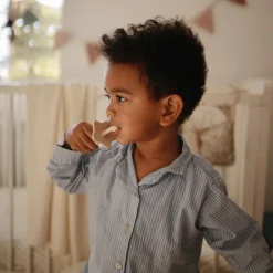 Teeth & Teethers*Mushie Silicone Star Training Toothbrush