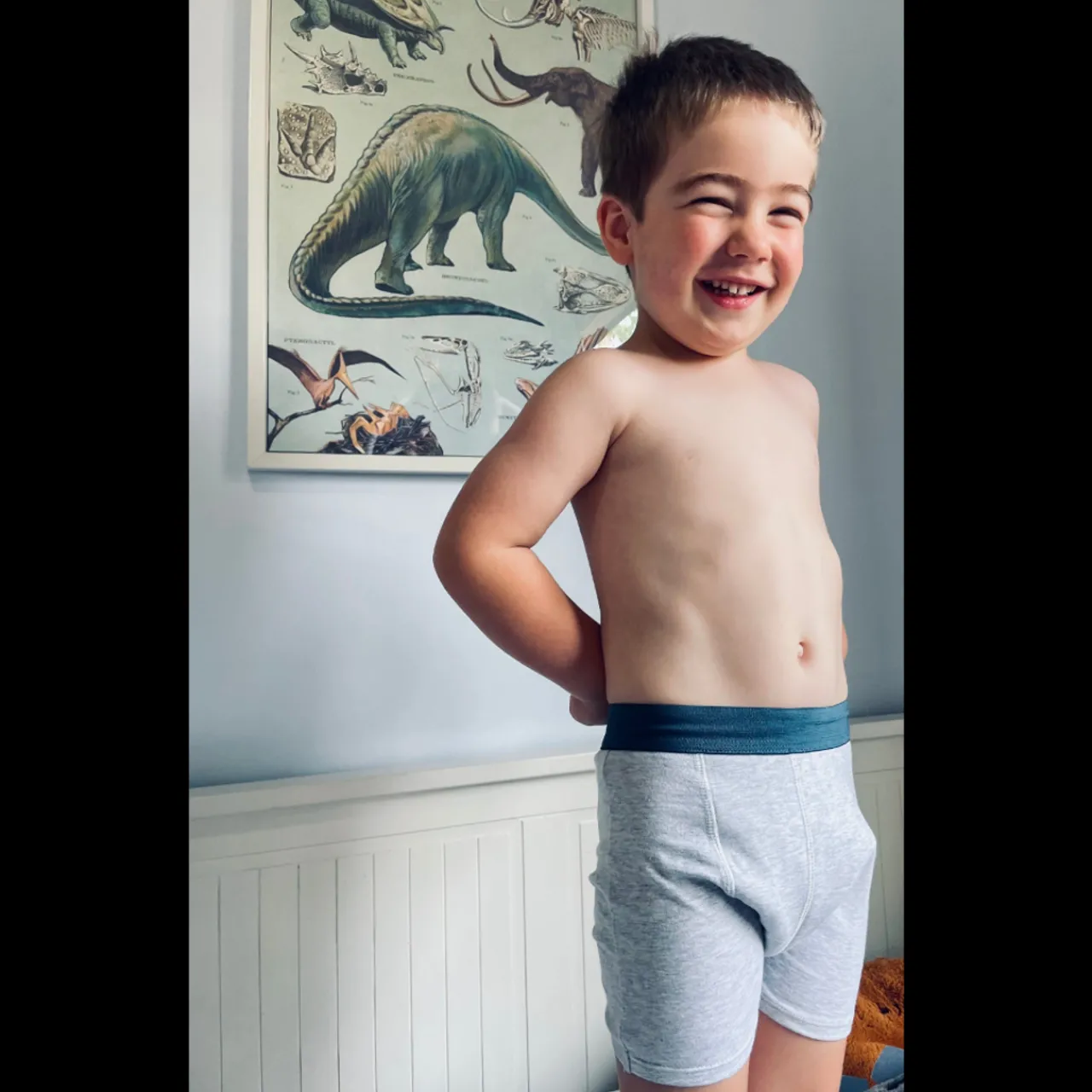 Toilet Training & Bedwetting|Nappies, Wipes & Wet Bags*Snazzipants Snazzi Pants Boys Night Trainers