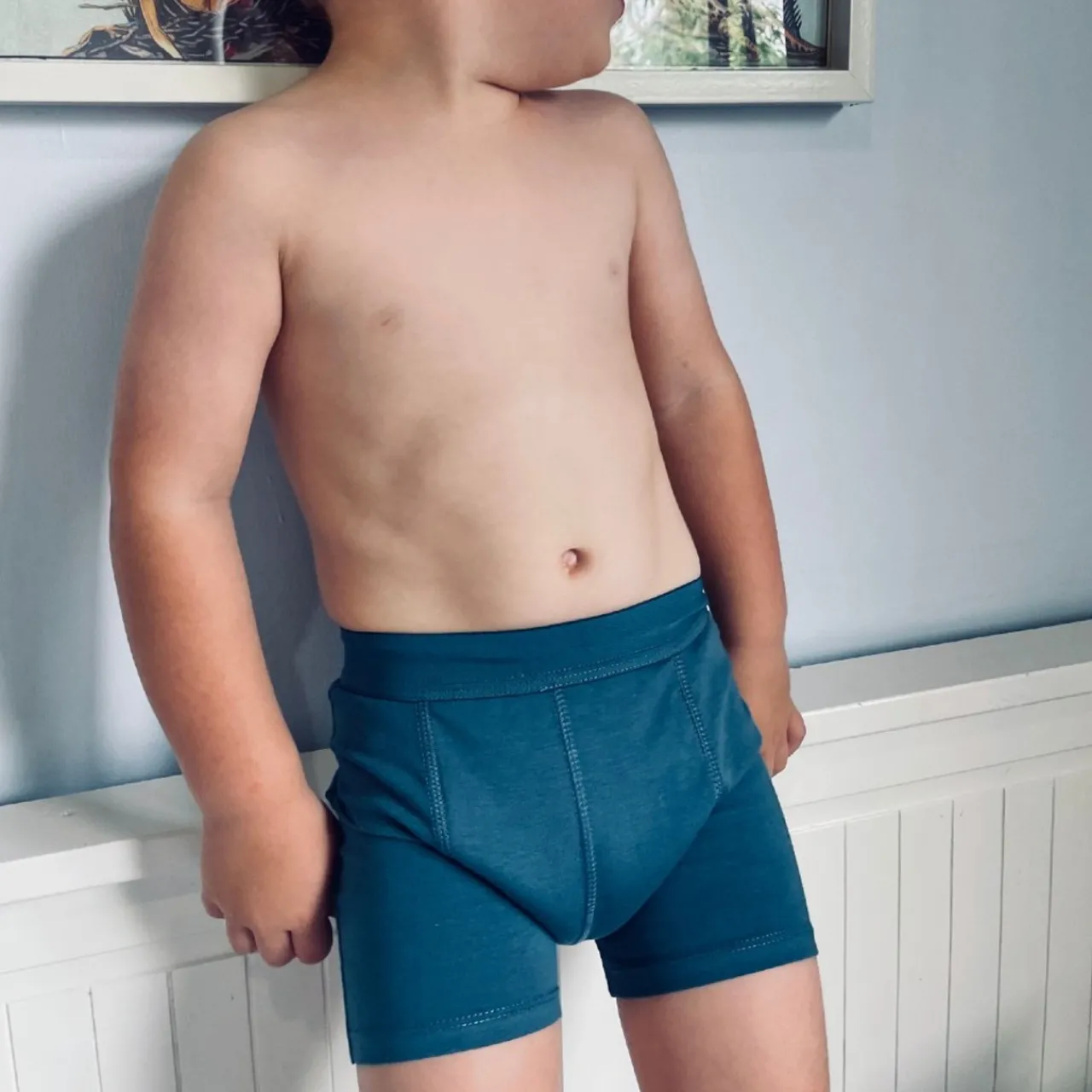 Toilet Training & Bedwetting|Nappies, Wipes & Wet Bags*Snazzipants Snazzi Pants Boys Night Trainers