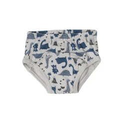 Toilet Training & Bedwetting*Snazzipants Snazzi Pants Organic Day Trainers