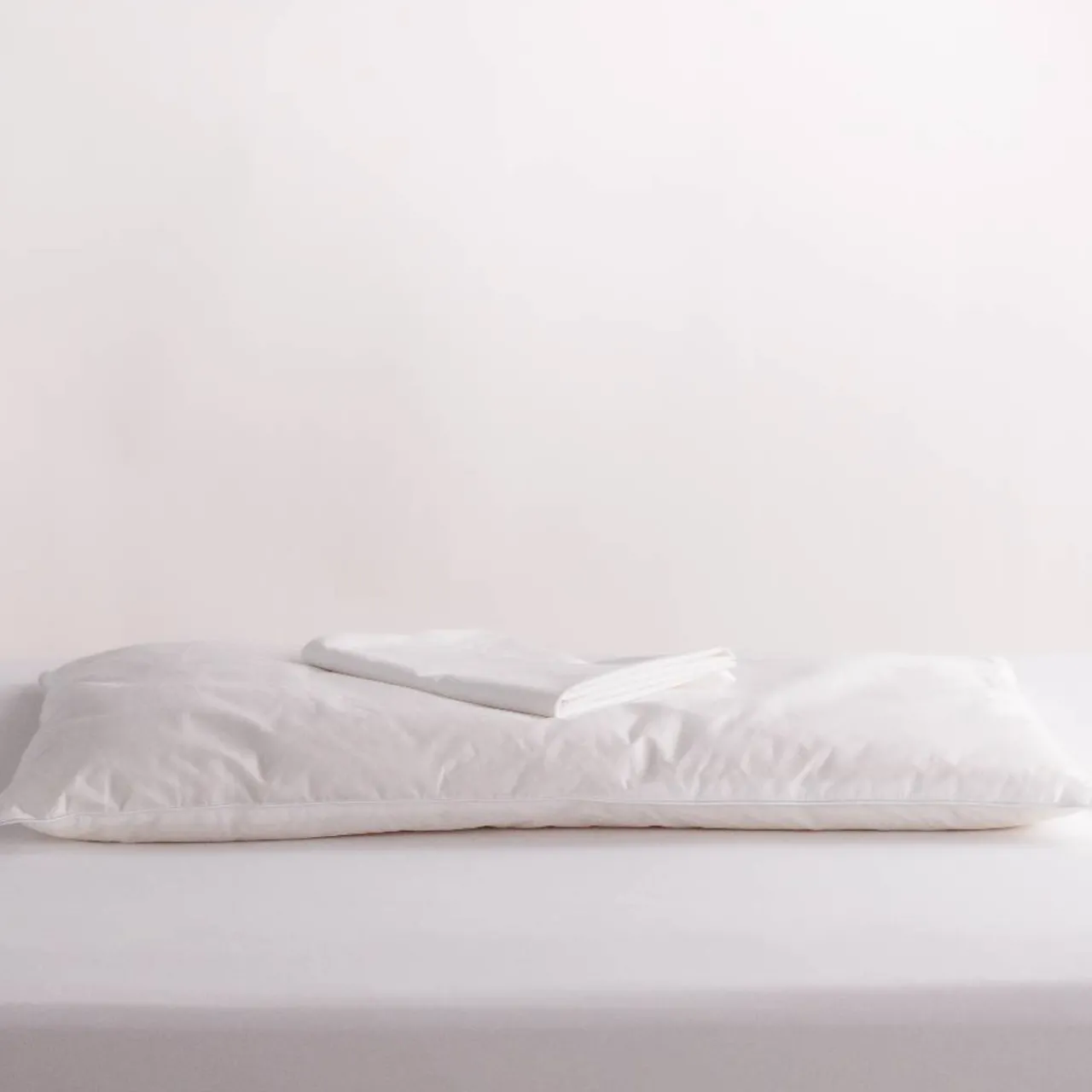 Pillows & Pillowcases*The Sleep Store Standard Size Wool Pillow with Pillowcase