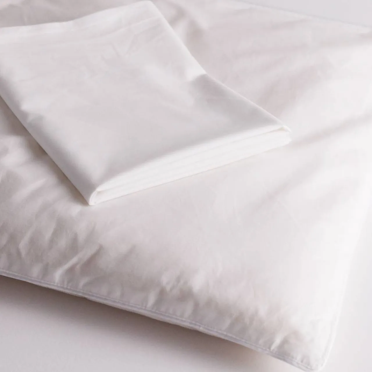 Pillows & Pillowcases*The Sleep Store Standard Size Wool Pillow with Pillowcase