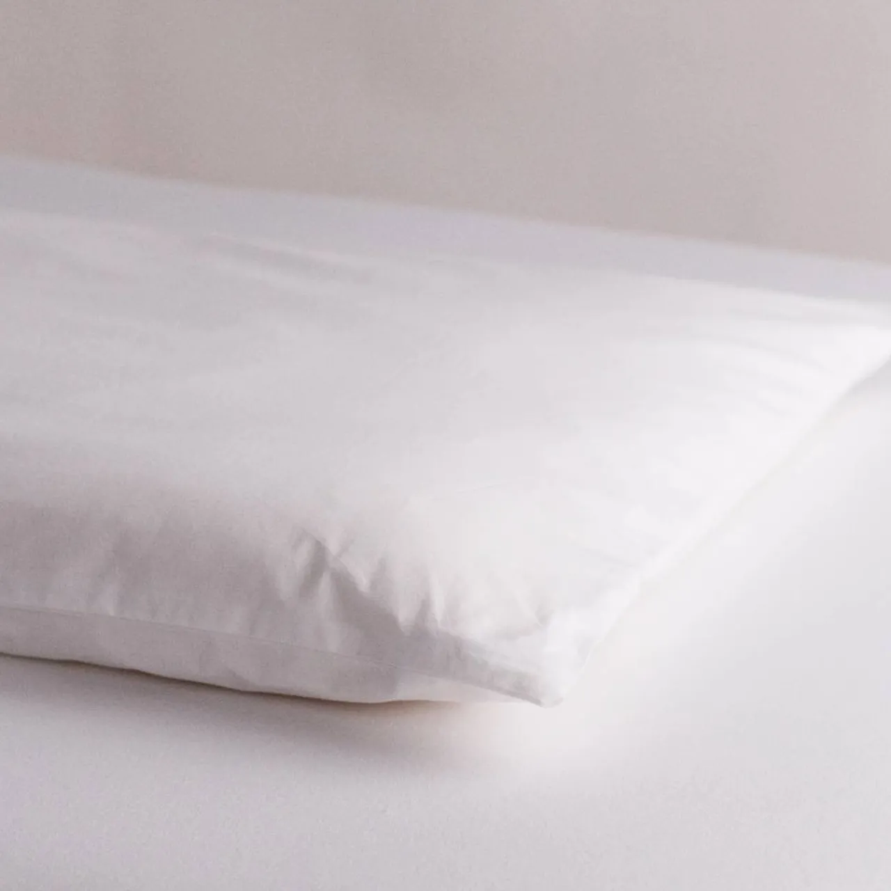 Pillows & Pillowcases*The Sleep Store Standard Size Wool Pillow with Pillowcase