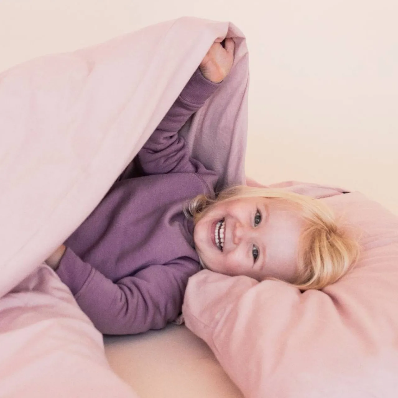 Pillows & Pillowcases*The Sleep Store Standard Size Wool Pillow with Pillowcase