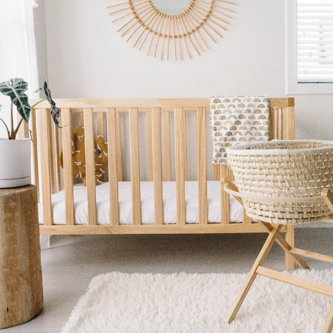 Cots*The Sleep Store - Frank Cot