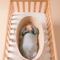 Cots*The Sleep Store - Frank Cot