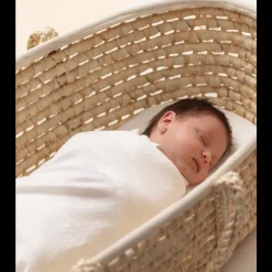 Moses Baskets*The Sleep Store Moses Basket