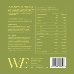 Self-Care|Self Care & Vitamins*Welle Essentials Electrolytes - Pineapple Lime