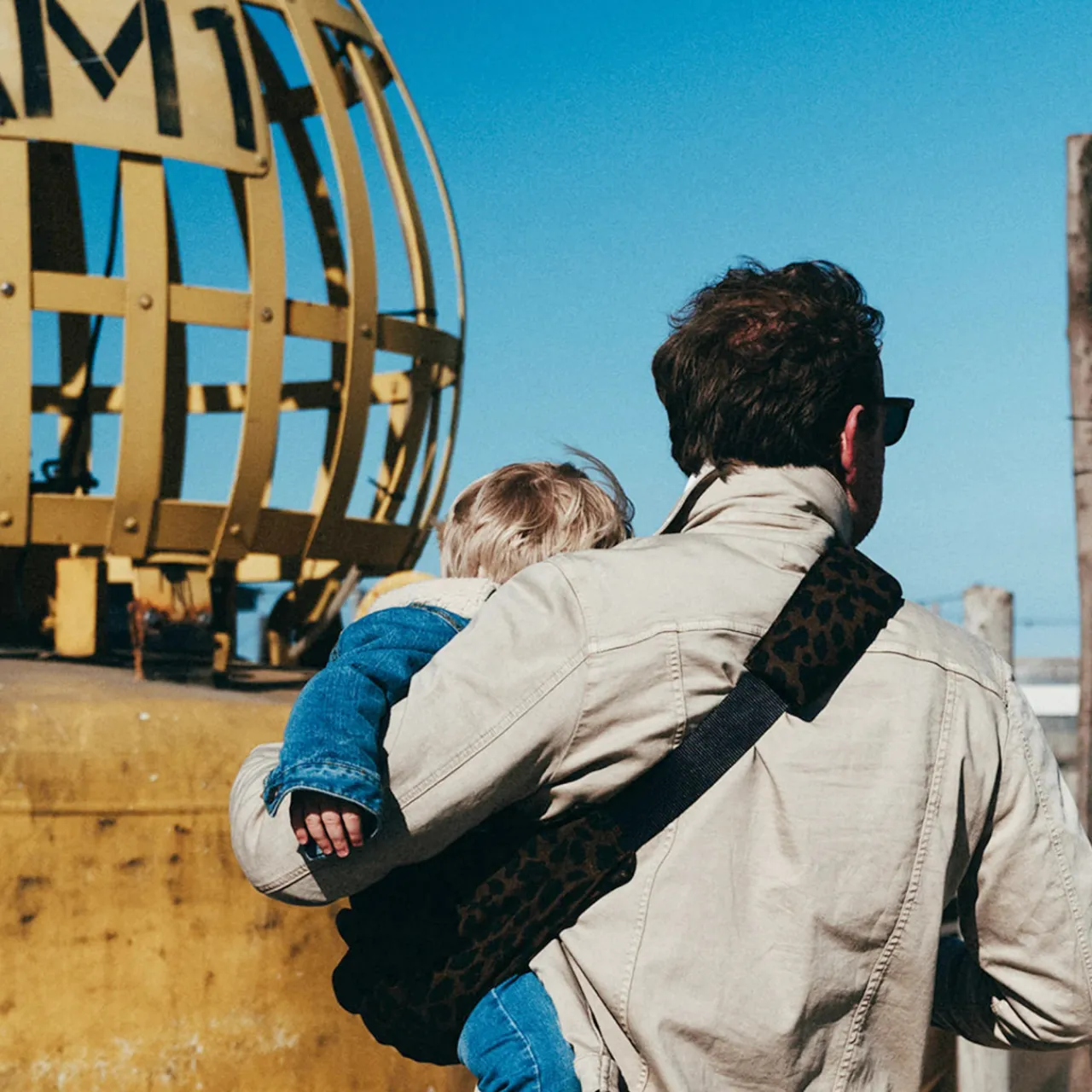 Toddler Carrying Aids*Wildride Toddler Carrier - Prints