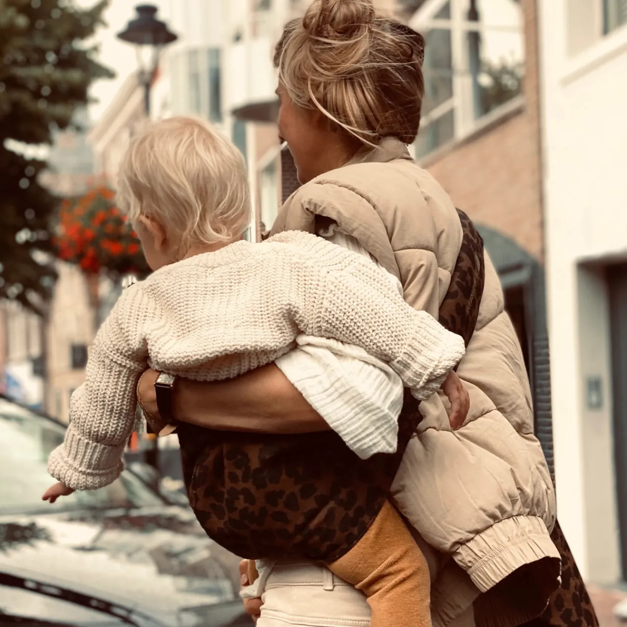 Toddler Carrying Aids*Wildride Toddler Carrier - Prints