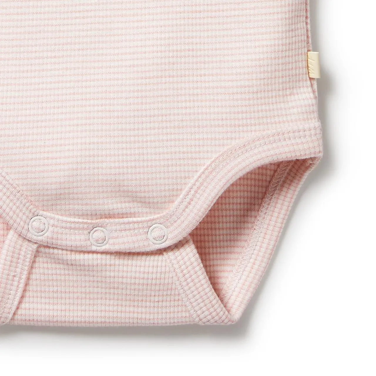 Bodysuits & Singlets*Wilson + Frenchy Wilson & Frenchy Organic Rib Short Sleeve Bodysuit