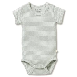 Bodysuits & Singlets*Wilson + Frenchy Wilson & Frenchy Organic Rib Short Sleeve Bodysuit