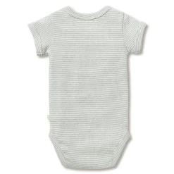 Bodysuits & Singlets*Wilson + Frenchy Wilson & Frenchy Organic Rib Short Sleeve Bodysuit