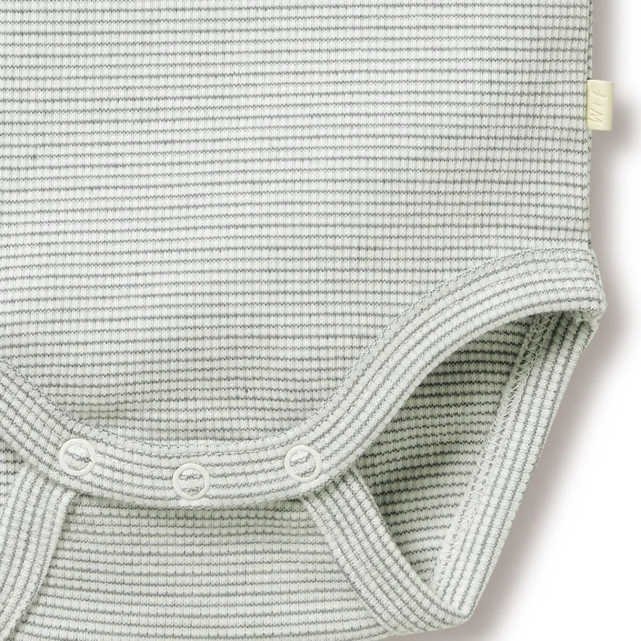 Bodysuits & Singlets*Wilson + Frenchy Wilson & Frenchy Organic Rib Short Sleeve Bodysuit