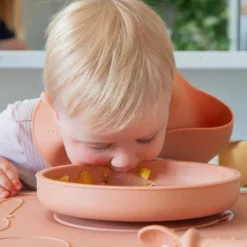 Bowls, Plates & Cutlery*Zazi Clever Plate with Lid